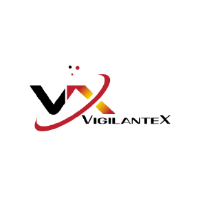 Vigilante X - Print Decal 23.5x11