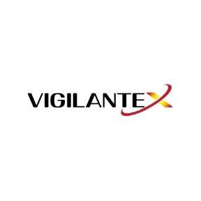 Vigilante X - Print Decal 23x5